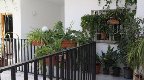 Foto 3 de Ático de alquiler en Calle Nuño Gómez, 8, La Goleta - San Felipe Neri, Málaga Capital