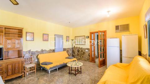 Foto 5 de Finca rústica en venda a Carretera Saucejo, 2d, Los Corrales, Sevilla