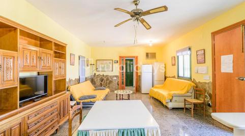 Foto 4 de Finca rústica en venda a Carretera Saucejo, 2d, Los Corrales, Sevilla