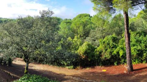 Photo 2 of House or chalet for sale in El Jardinito, 41, Las Jaras,  Córdoba Capital