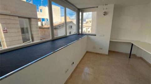 Oficina de lloguer a Port d'Andratx, Andratx - imatge 3 Foto 3 de Oficina de lloguer a Port d'Andratx, Andratx