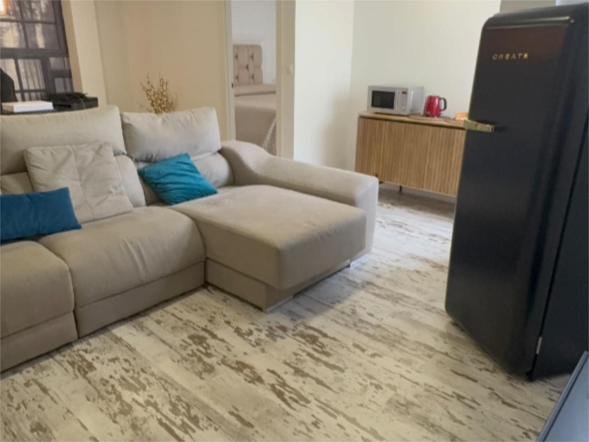 Sala de estar de Loft de alquiler en Alicante / Alacant con Aire acondicionado