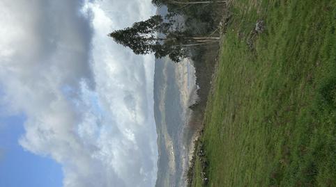 Planta baixa de lloguer a Lugar San Vicente, 3, Fornelos de Montes, Pontevedra - imatge 2 Foto 2 de Planta baixa de lloguer a Lugar San Vicente, 3, Fornelos de Montes, Pontevedra