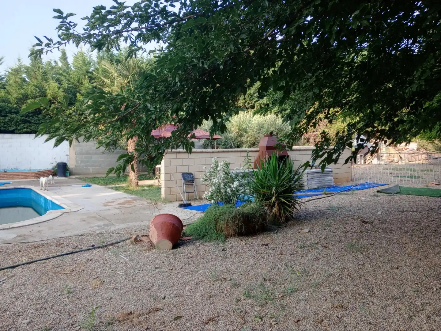 Finca rústica en venda a Calle Camacho, 21, Borja Jardí de Finca rústica en venda en Borja amb Piscina