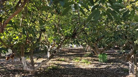 Photo 4 of Country house for sale in Diseminado la Garnatilla P37, 46, Los Tablones - La Garnatilla, Motril