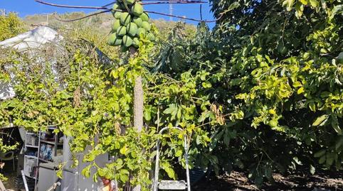 Photo 5 of Country house for sale in Diseminado la Garnatilla P37, 46, Los Tablones - La Garnatilla, Motril