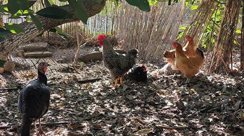 Photo 2 of Country house for sale in Diseminado la Garnatilla P37, 46, Los Tablones - La Garnatilla, Motril