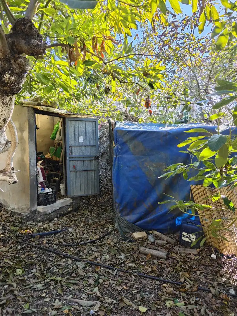 Finca rústica en venta en Diseminado la Garnatilla P37, 46, Los Tablones - La Garnatilla Jardín de Finca rústica en venta en Motril