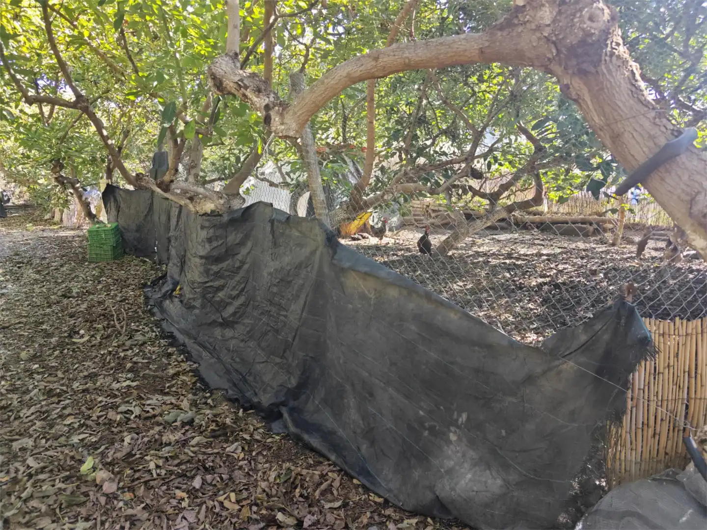 Finca rústica en venta en Diseminado la Garnatilla P37, 46, Los Tablones - La Garnatilla Jardín de Finca rústica en venta en Motril