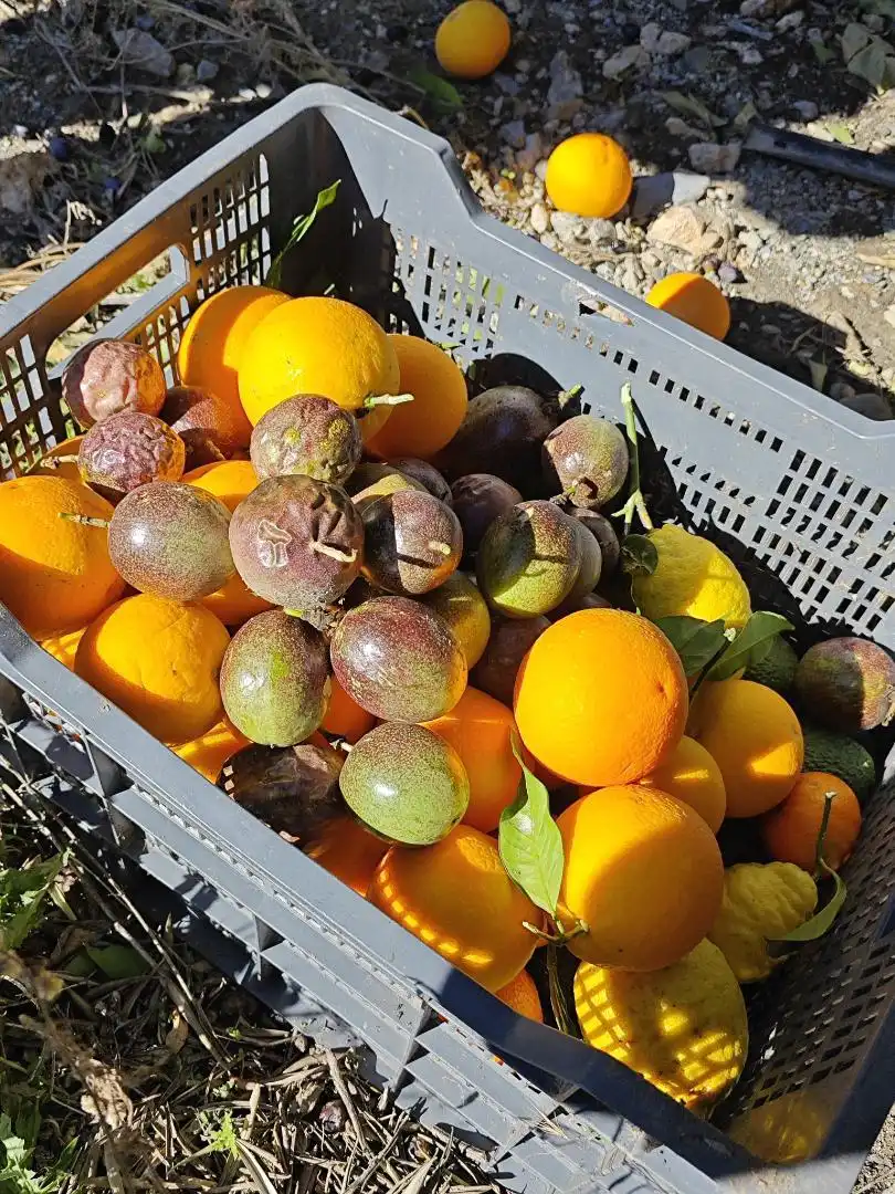 Finca rústica en venta en Diseminado la Garnatilla P37, 46, Los Tablones - La Garnatilla Finca rústica en venta en Motril