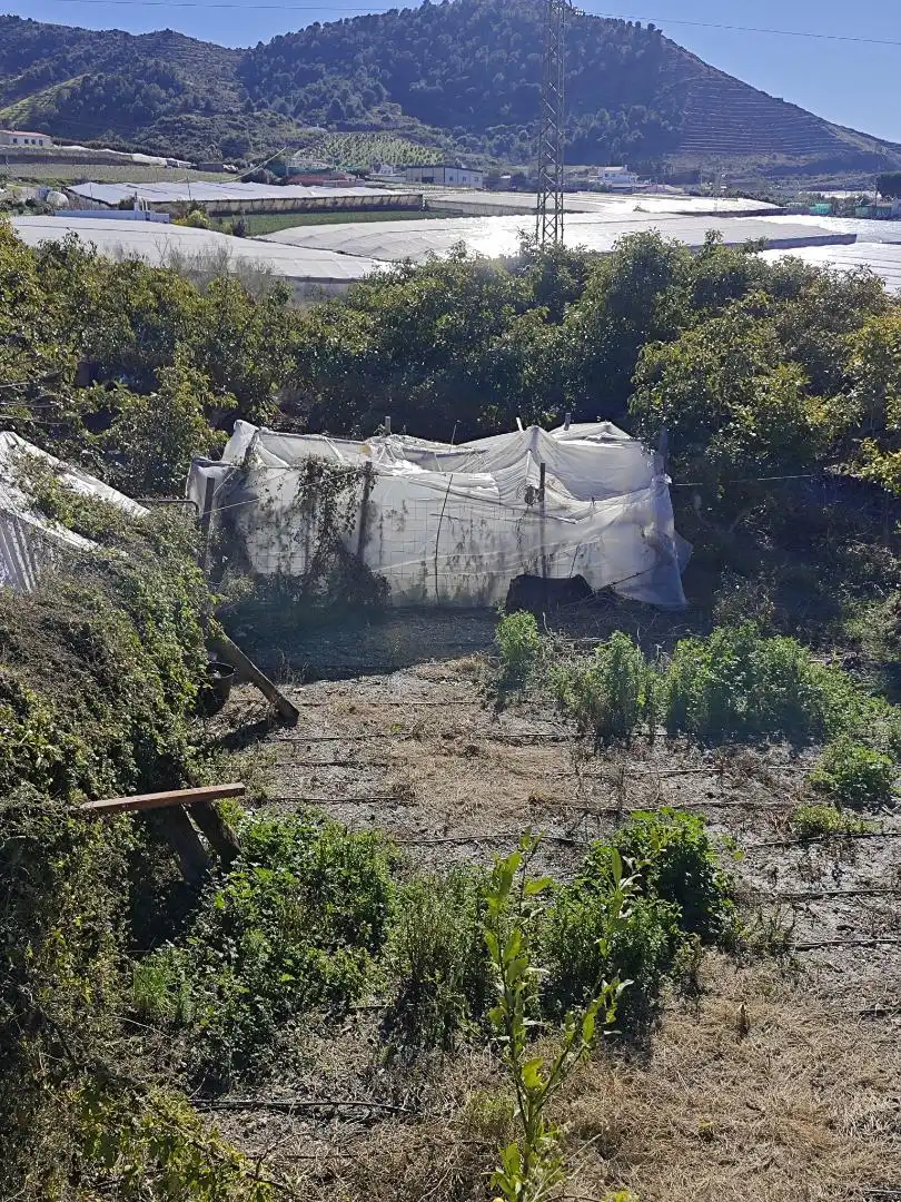Finca rústica en venta en Diseminado la Garnatilla P37, 46, Los Tablones - La Garnatilla Jardín de Finca rústica en venta en Motril