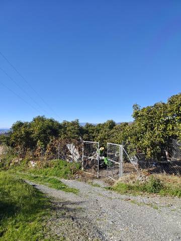 Finca rústica en Venta en Diseminado la Garnatilla P37, 46 en Los Tablones - La Garnatilla