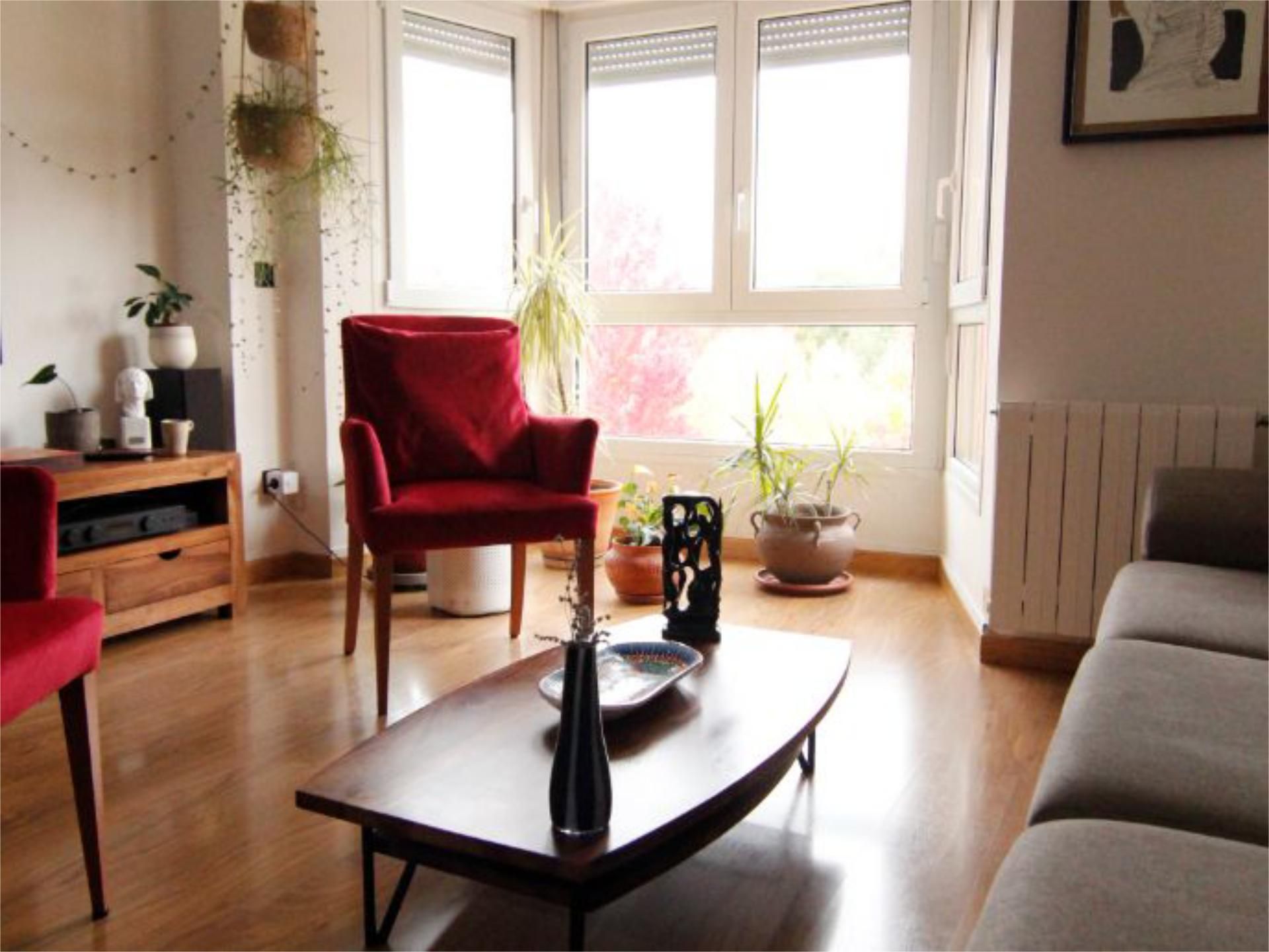 Living room of Flat for sale in  Madrid Capital  with Air Conditioner, Heating and Private garden