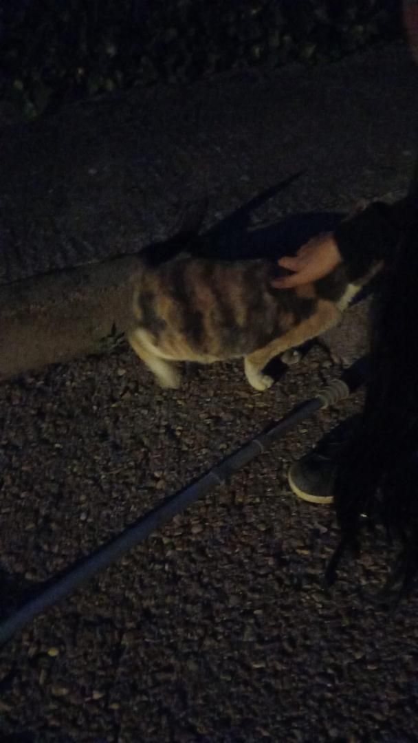 Vista exterior de Pis en venda en Serracines amb Aire condicionat, Parquet i Terrassa