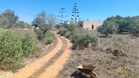 Foto 2 de Finca rústica en venda a Carrer Es Porrasaret, 56, Ses Salines Poble, Ses Salines