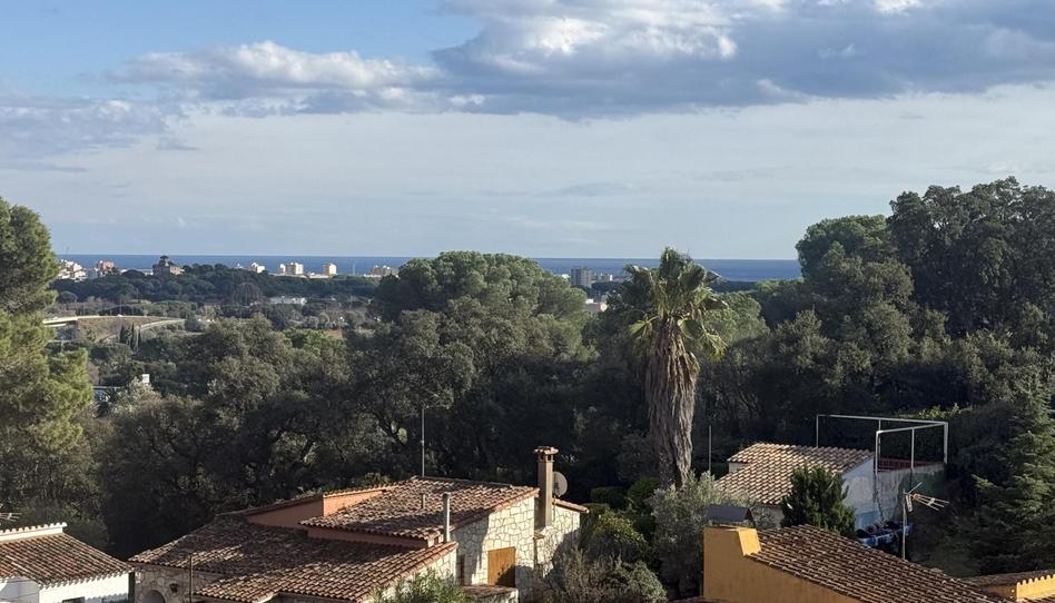 Pis en venda a Avinguda del Mas Ambrós, 21, Cabanyes - Mas Ambrós - Mas Pallí, Calonge i Sant Antoni - imatge 1 Foto 1 de Pis en venda a Avinguda del Mas Ambrós, 21, Cabanyes - Mas Ambrós - Mas Pallí, Calonge i Sant Antoni