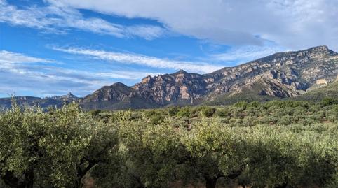 Foto 5 de Finca rústica en venta en Carrer Dels Reguers, 16, Jesús - Els Reguers, Tortosa