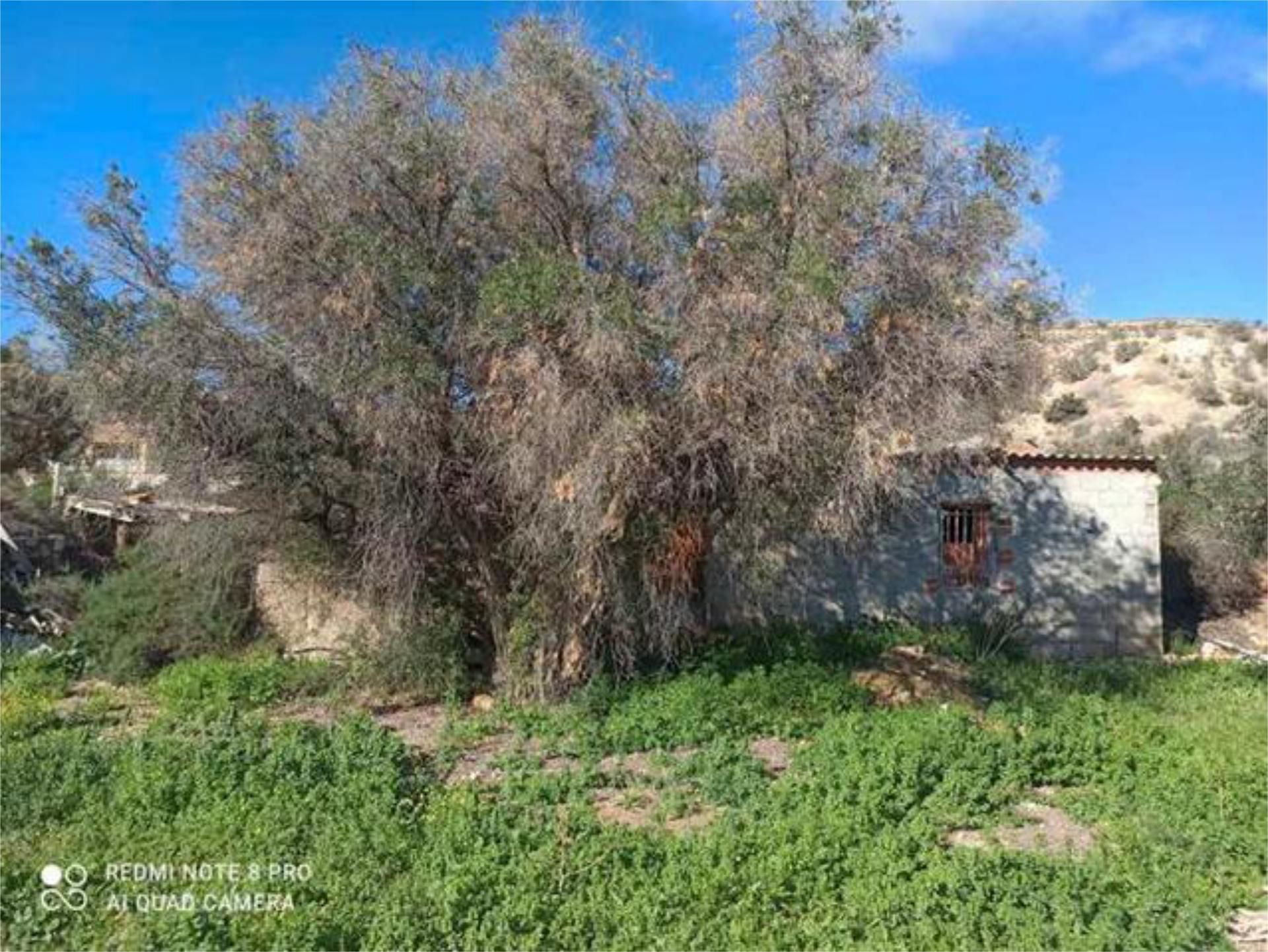 Casa o xalet de lloguer en Elche / Elx