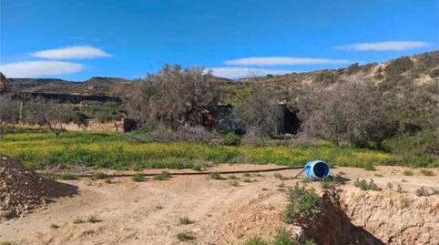 Foto 5 de Casa o xalet de lloguer a Peña de las Águilas, Elche / Elx