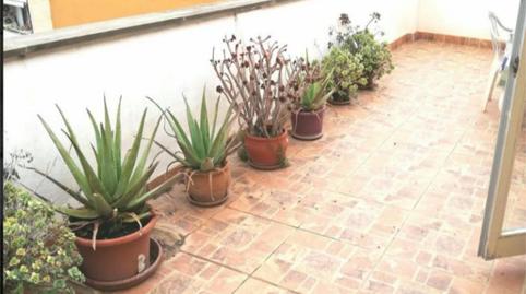 Foto 4 von Zimmer in Carrer Reina Maria de Montpeller, 2, Pere Garau, Palma de Mallorca