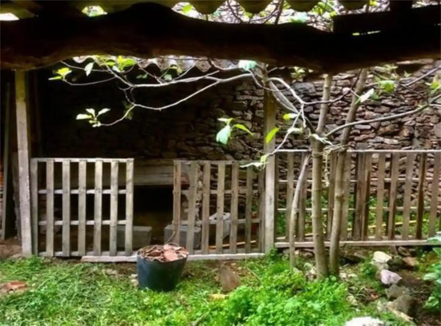 Jardí de Casa o xalet en venda en Lumbrales amb Jardí privat