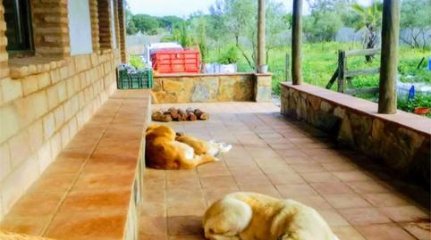 Photo 2 of Country house for sale in Solar Suelo Pp Si-6, 152, Trigueros, Huelva