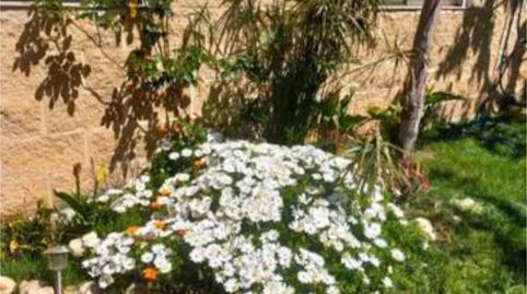 Houses for sale in Garrapinillos, Zaragoza Capital - image 3 Photo 3 of Houses for sale in Garrapinillos, Zaragoza Capital