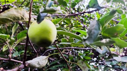 Foto 3 de Casa o xalet en venda a Calle Iglesia, 29, Juarros de Voltoya, Segovia