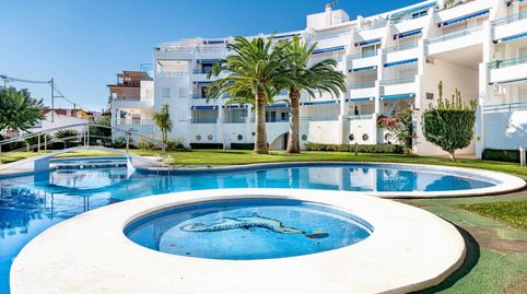 Apartments for rent in Carrer de Les Campanilles, 2a, Alcossebre, Alcalà de Xivert - image 3 Photo 3 of Apartments for rent in Carrer de Les Campanilles, 2a, Alcossebre, Alcalà de Xivert