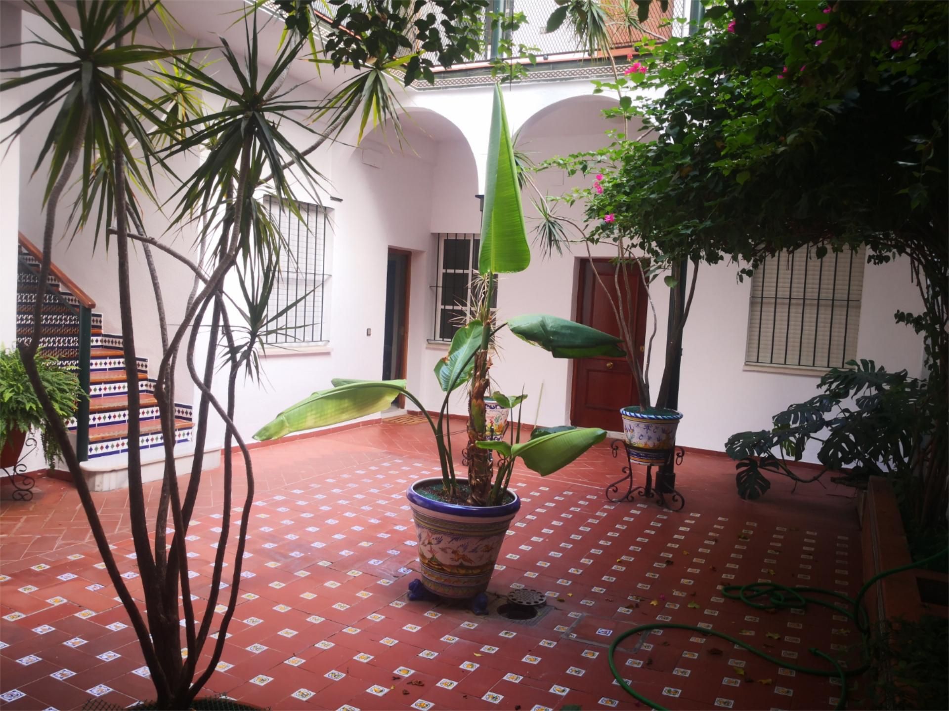 Pis de lloguer a Calle Pureza, 112, Triana Casco Antiguo