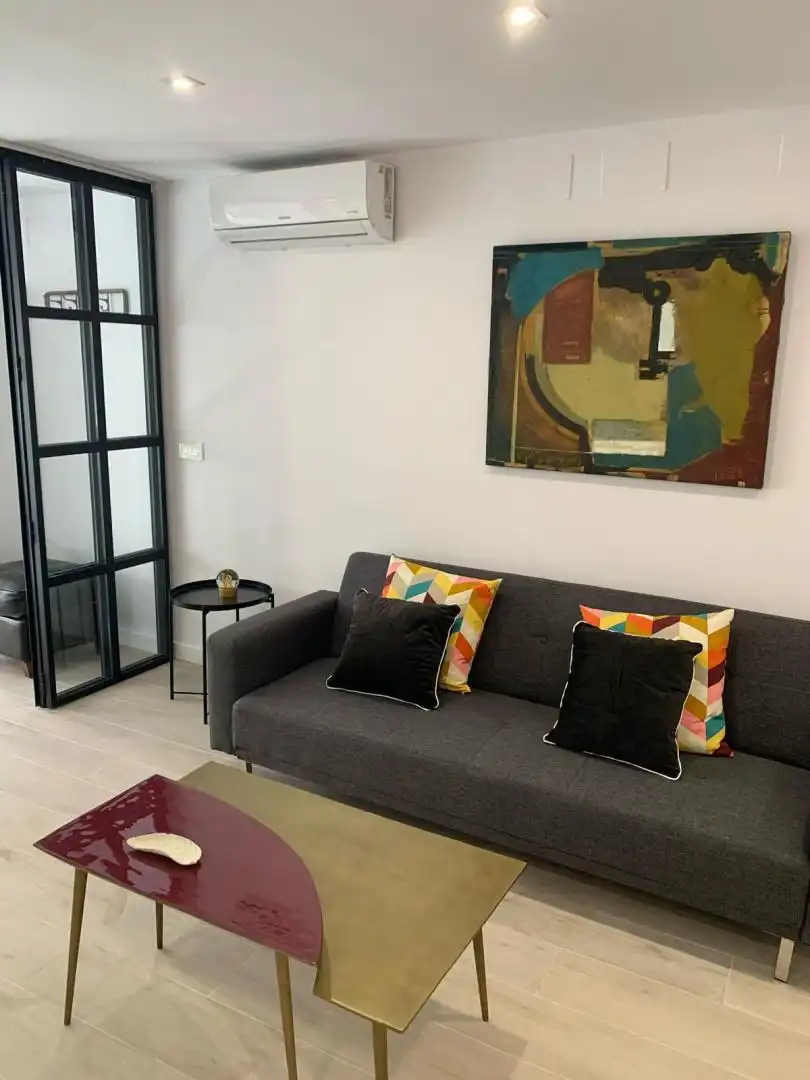 Sala d'estar de Estudi de lloguer en  Granada Capital amb Aire condicionat i Balcó