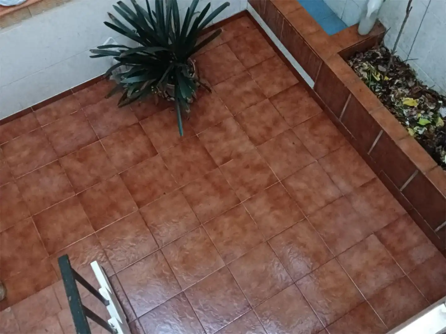 Houses for sale in Avenida Poeta José Jurado Morales, 82, La Paz - Las Américas Garden of Houses for sale in Linares with Air Conditioner, Terrace and Balcony