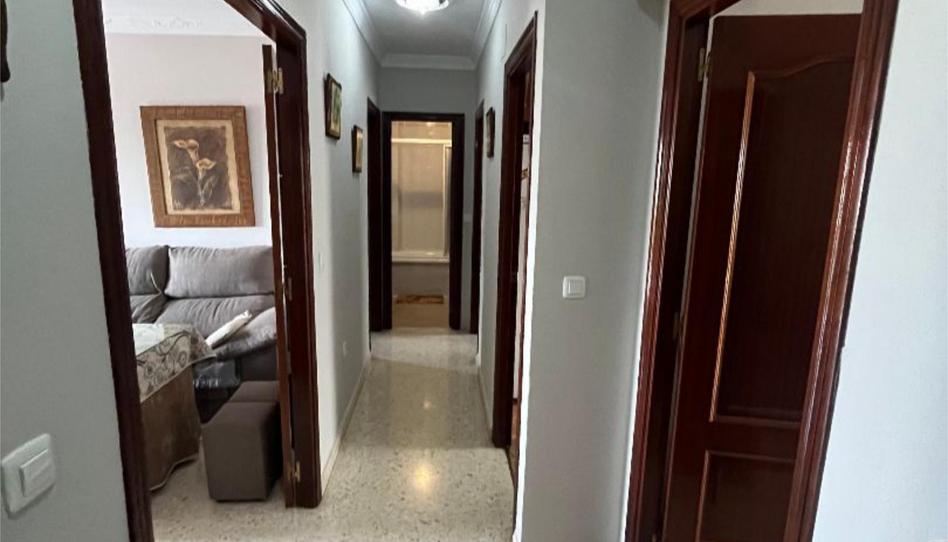 Pis de lloguer a Avenida José Antonio Gallego, 4, El Cuervo de Sevilla, Sevilla - imatge 1 Foto 1 de Pis de lloguer a Avenida José Antonio Gallego, 4, El Cuervo de Sevilla, Sevilla