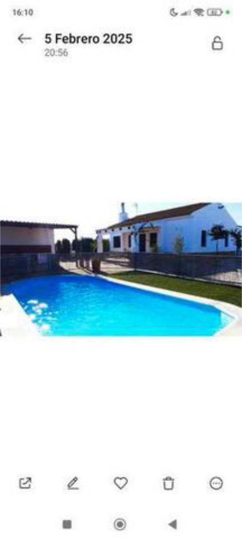 Swimming pool of Single-family semi-detached for sale in Marchena  with Heating, Private garden and Terrace