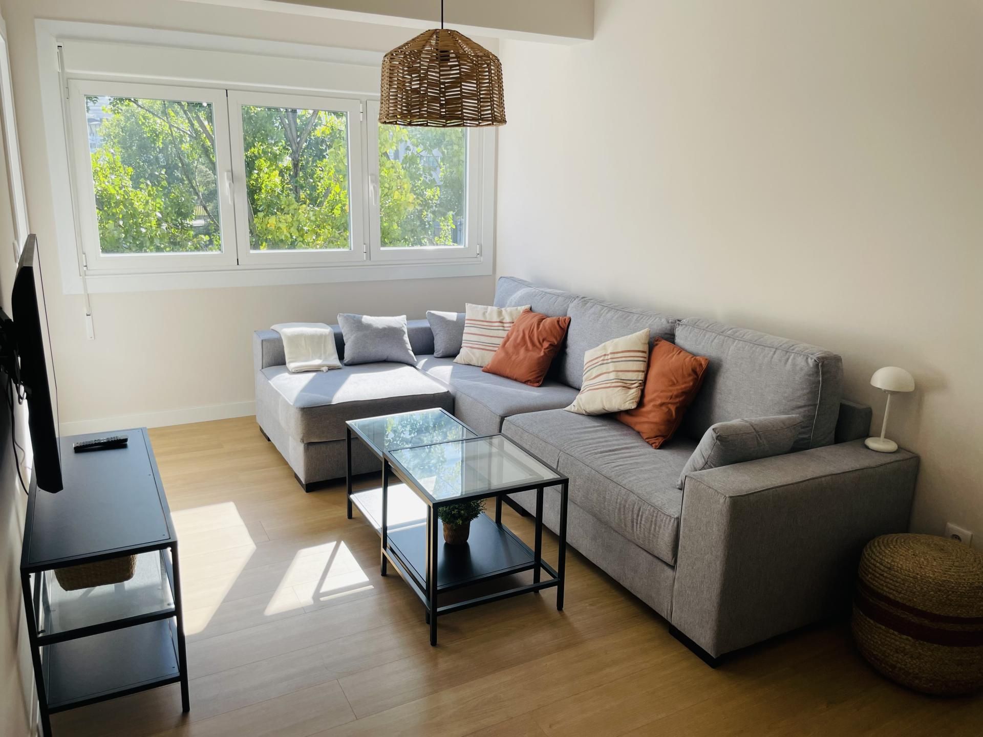 Living room of Flat to rent in A Coruña Capital   with Parquet flooring, Terrace and Furnished
