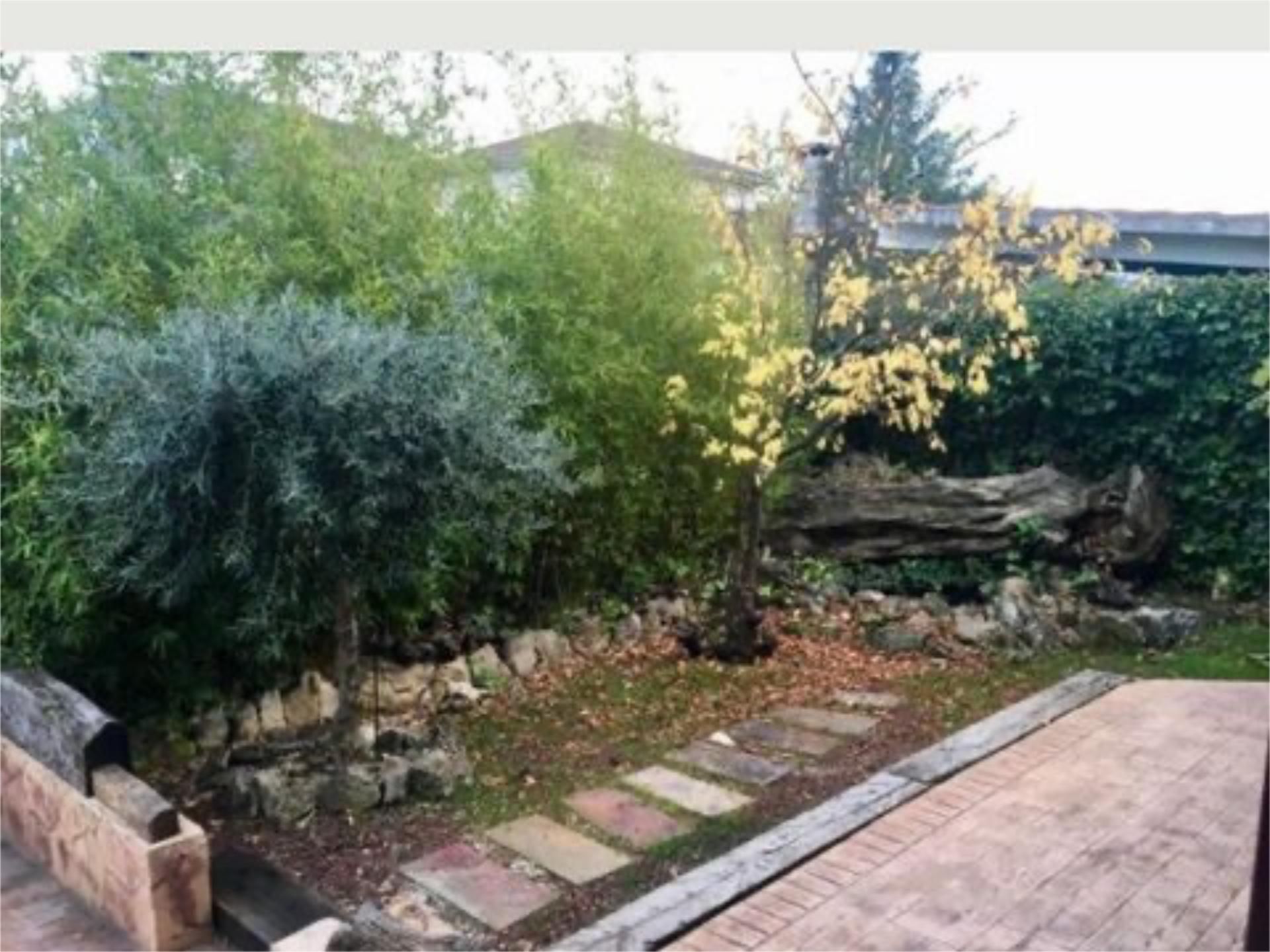 Garden of House or chalet for sale in Guadalix de la Sierra
