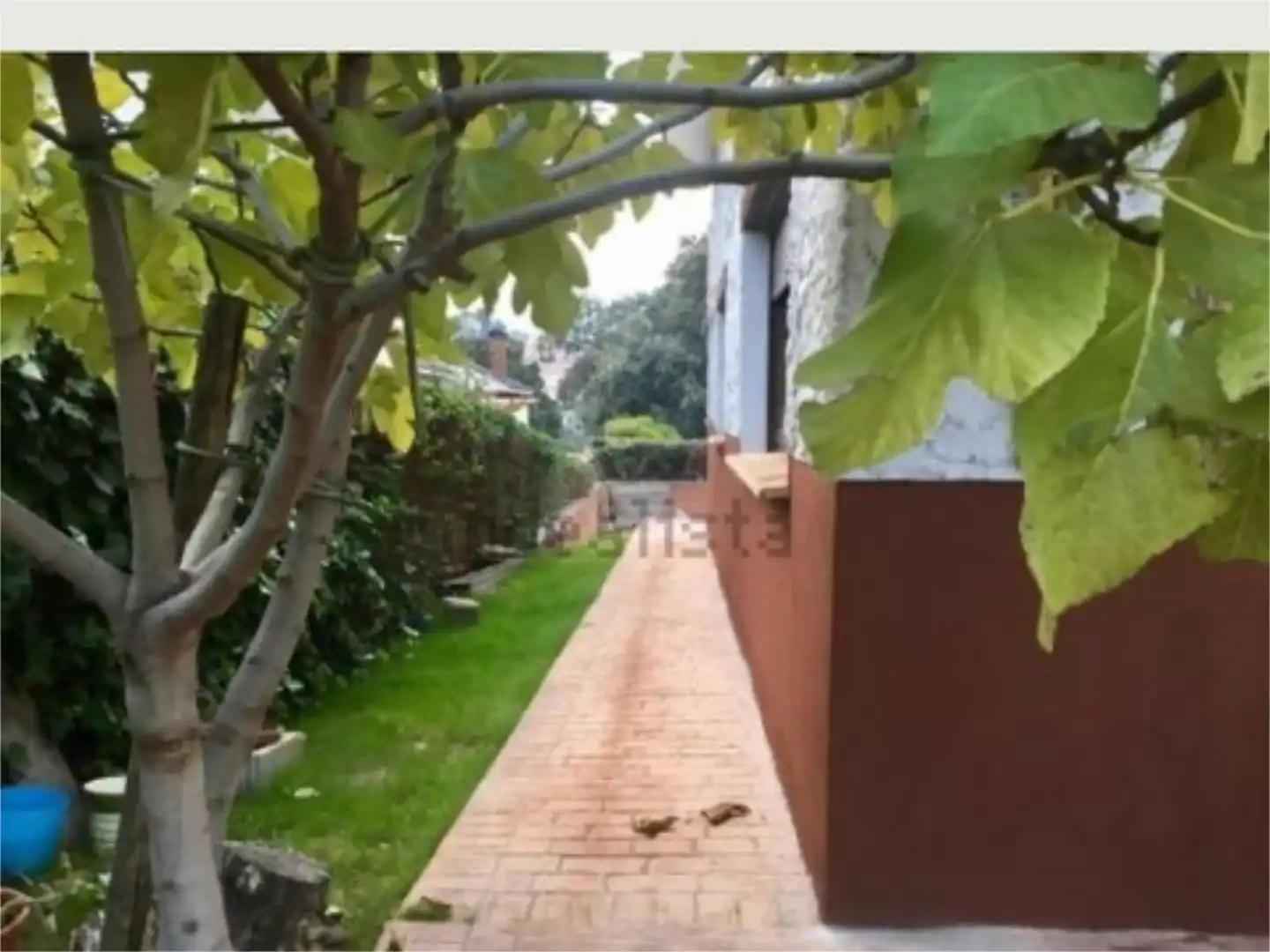 Houses for sale in Calle Guadalcampo, 61, Guadalix de la Sierra Garden of Houses for sale in Guadalix de la Sierra with Private garden