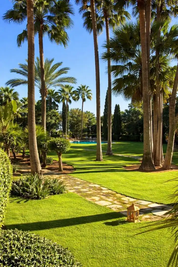 Pis de lloguer a Calle Isabel Clara Eugenia, 357, Nueva Andalucía Jardí de Pis de lloguer en Marbella amb Aire condicionat, Terrassa i Piscina