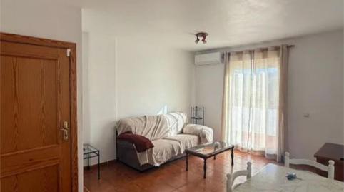 Pis de lloguer a Avenida Los Deportes, 22d, Jimena de la Frontera, Cádiz - imatge 5 Foto 5 de Pis de lloguer a Avenida Los Deportes, 22d, Jimena de la Frontera, Cádiz