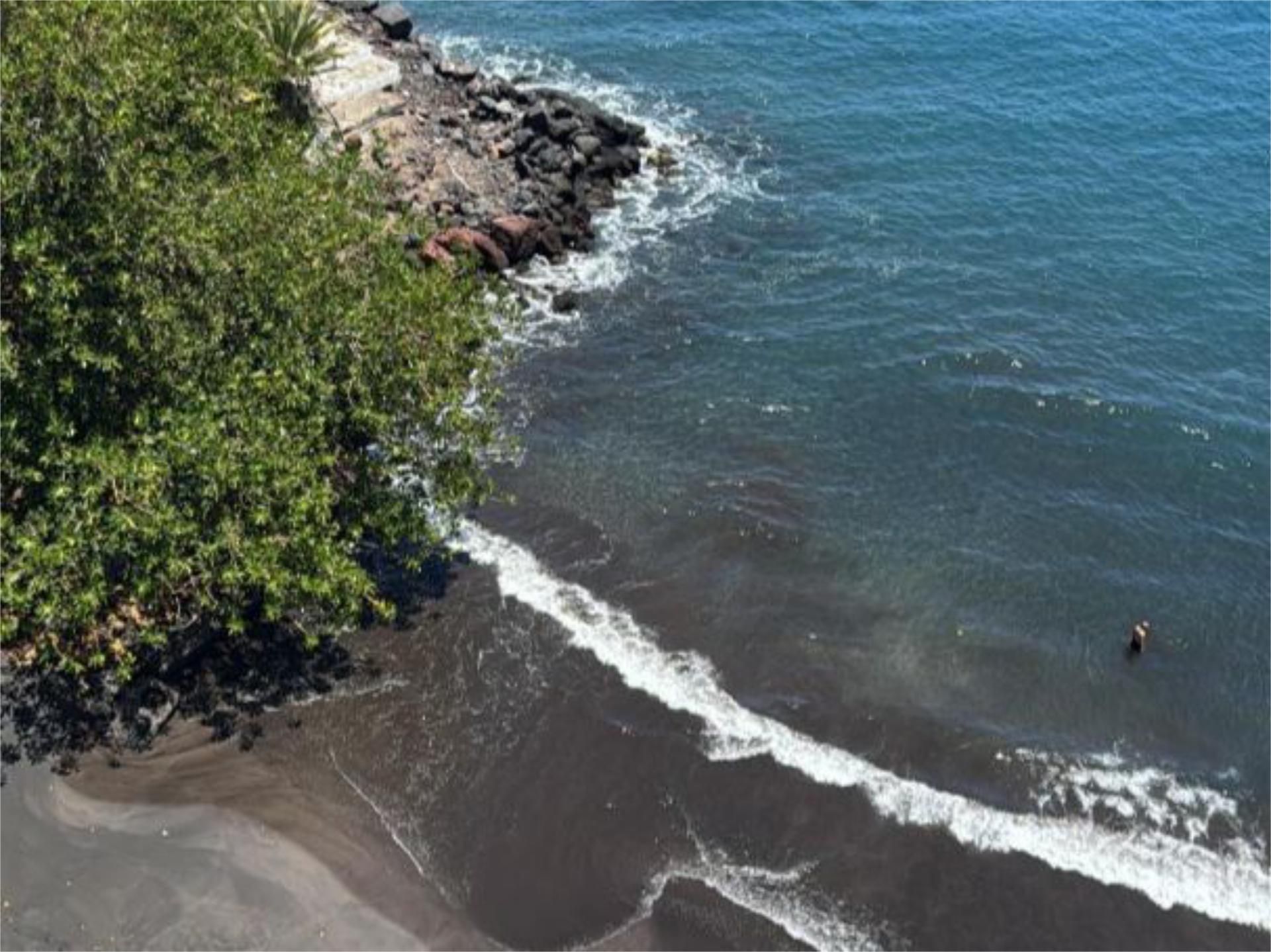 Vista exterior de Pis de lloguer en  Santa Cruz de Tenerife Capital amb Aire condicionat, Terrassa i Moblat