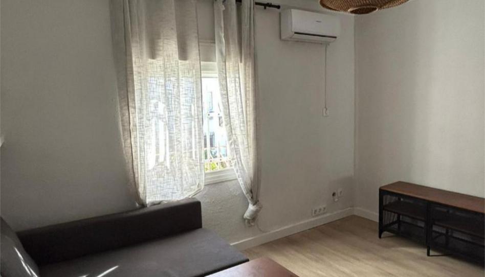 Pis de lloguer a Calle Girasol, 1, Cruz Roja, Sevilla Capital - imatge 1 Foto 1 de Pis de lloguer a Calle Girasol, 1, Cruz Roja, Sevilla Capital