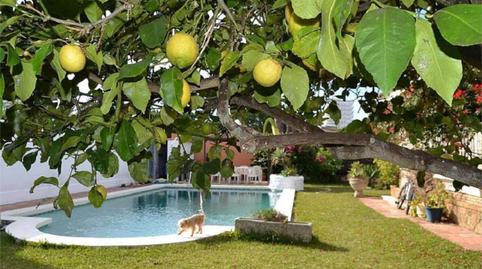 Foto 2 de Casa o xalet de lloguer a Avenida de Cádiz, 31, Valdelagrana, El Puerto de Santa María