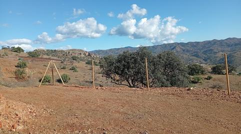 Foto 2 de Finca rústica en venta en Diseminado R31, 67, El Cortijuelo, Málaga Capital