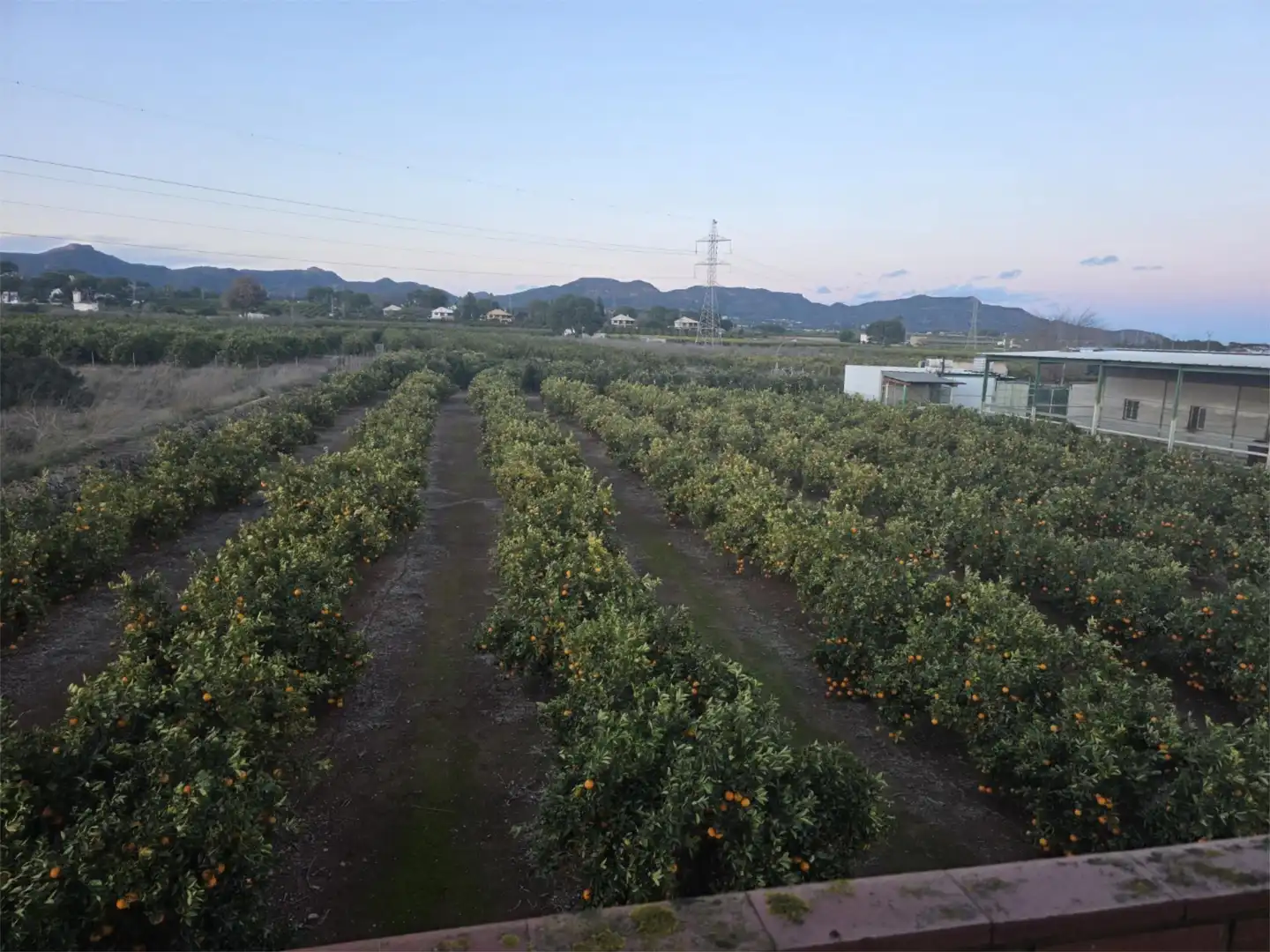 Finca rústica en venta en Partida del Forriol, 30, Rafelbuñol / Rafelbunyol Jardín de Finca rústica en venta en Rafelbuñol / Rafelbunyol con Jardín privado y Trastero