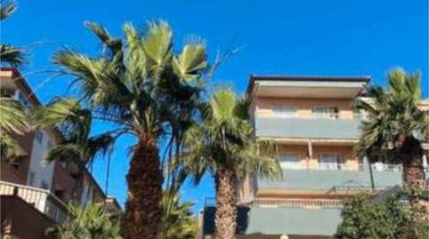 Foto 2 de Àtic de lloguer a Puertito de Güímar, Güímar