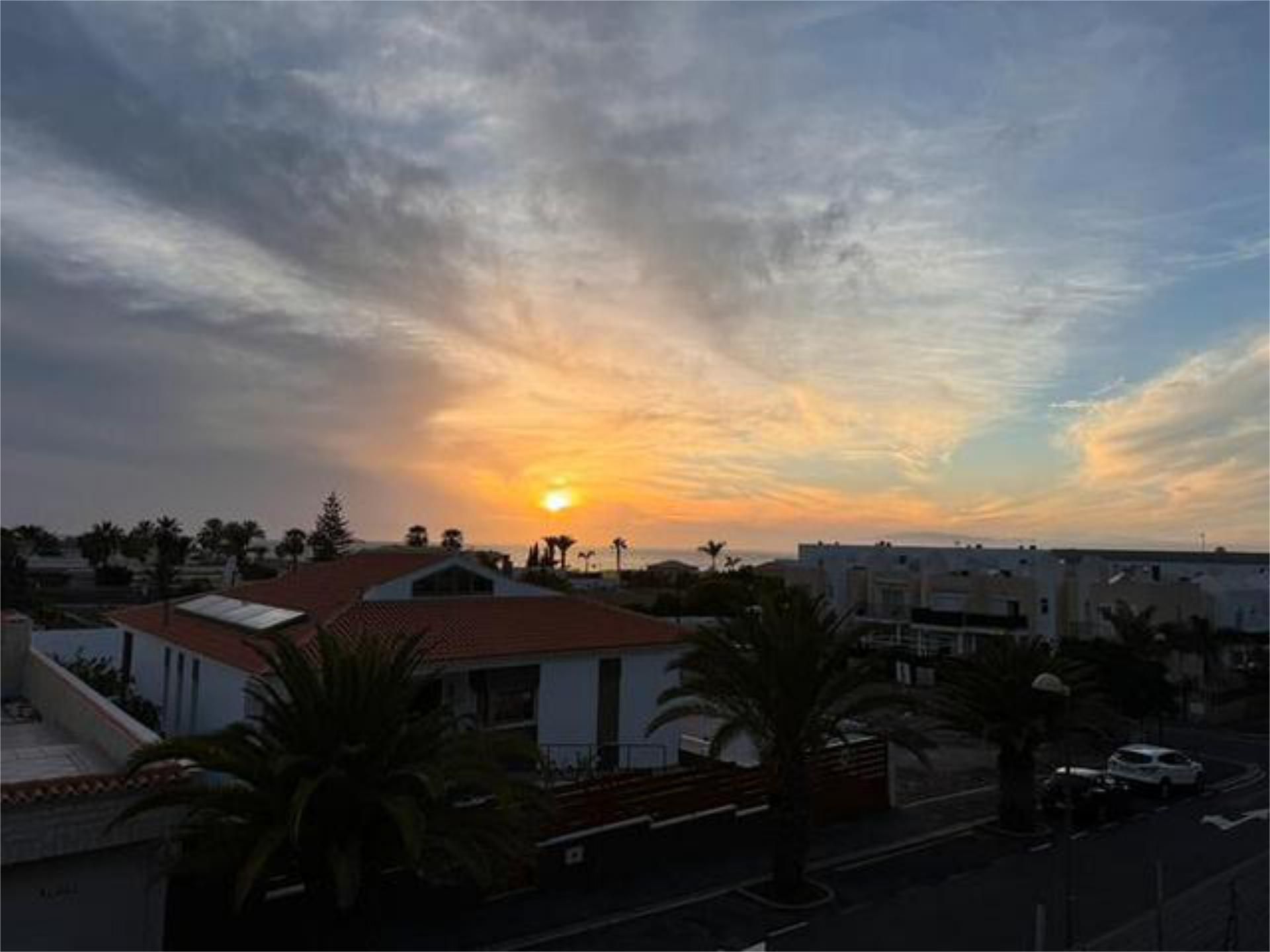 Single-family semi-detached to rent in Palm - Mar