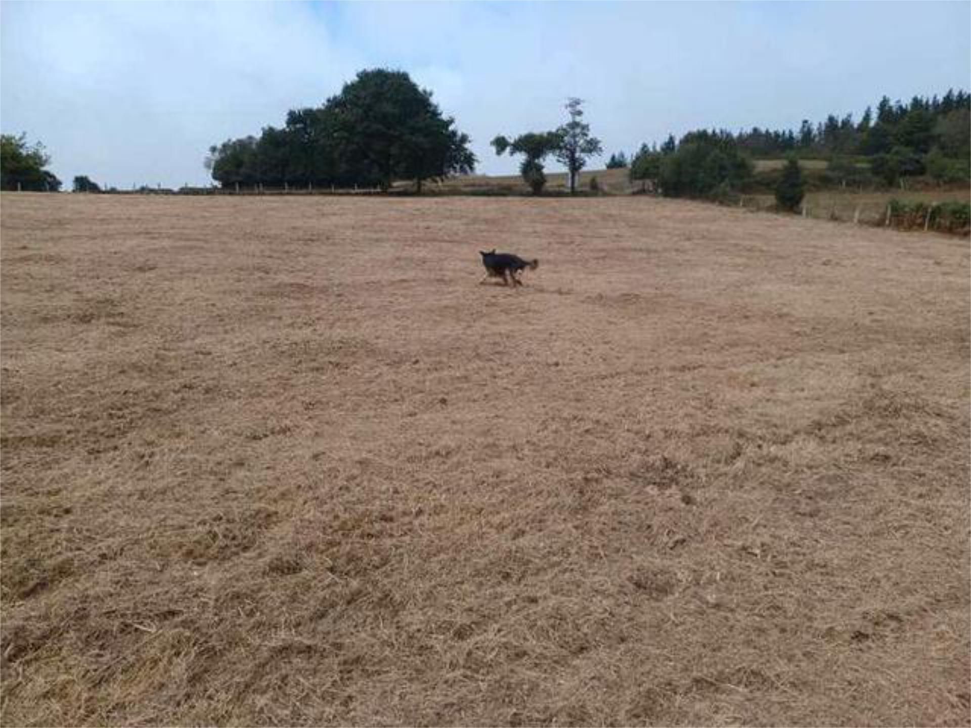 Casa adosada en venta en A Fonsagrada  con Calefacción, Jardín privado y Terraza