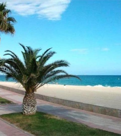 Foto 2 de Pis de lloguer a Avinguda de Barcelona, 2, Centre, Mont-roig del Camp