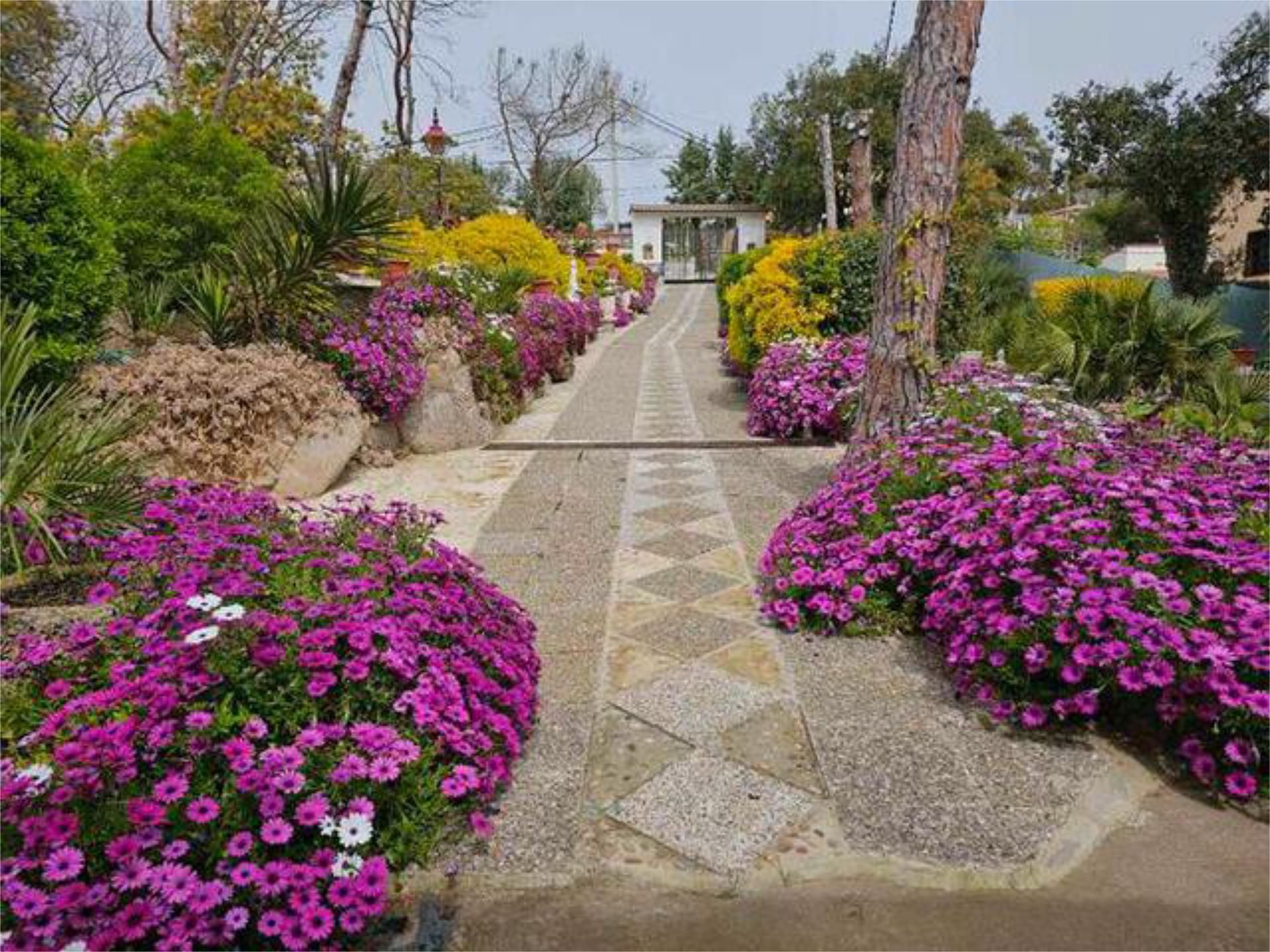Garden of House or chalet for sale in Maçanet de la Selva