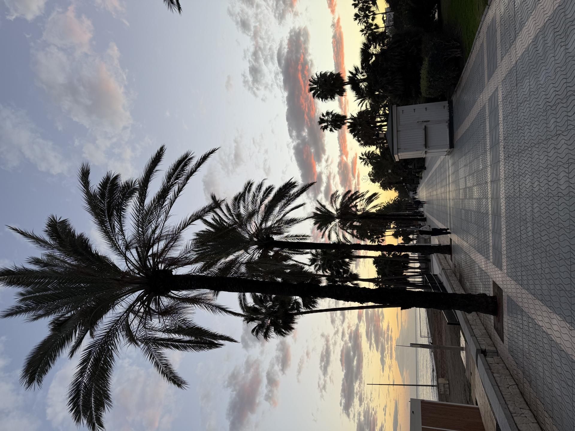 Vista exterior de Estudio para compartir en Marbella con Jardín privado, Piscina y Amueblado